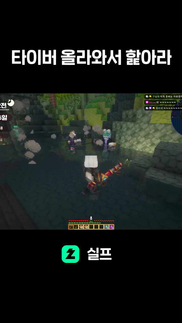 타이버 올라와서 핥아라