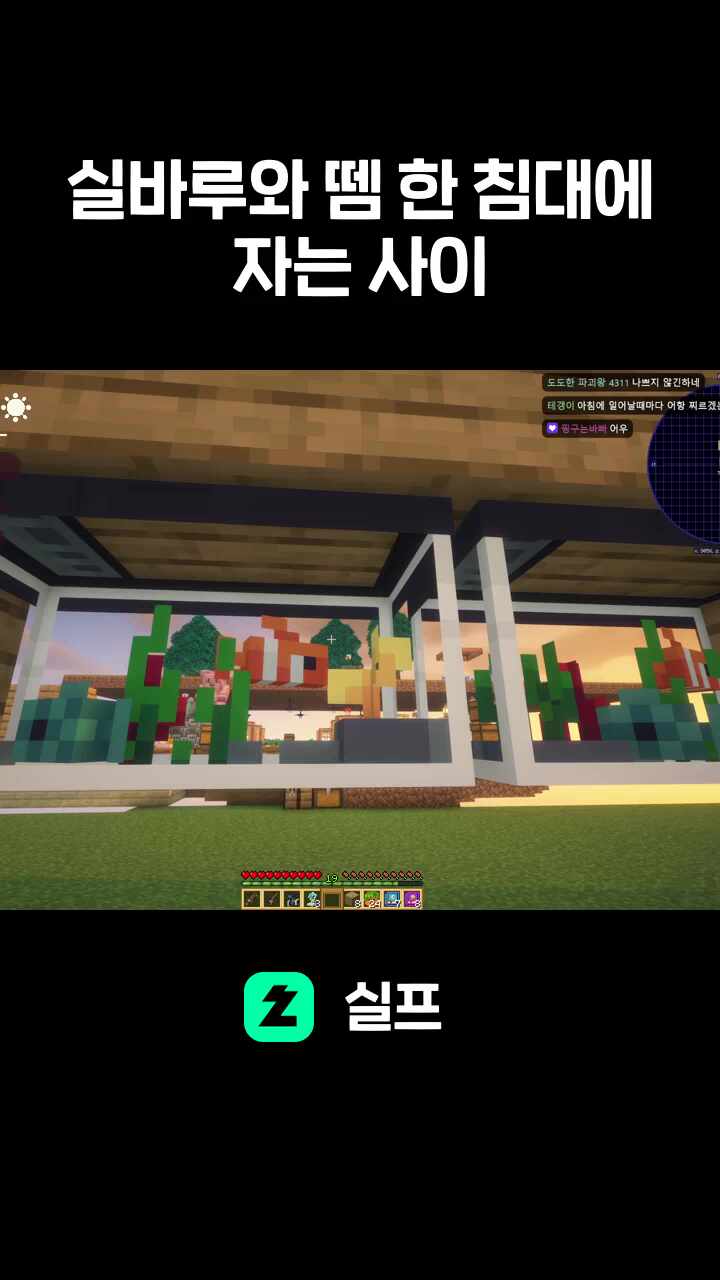 실바루와 뗌 한 침대에 자는 사이