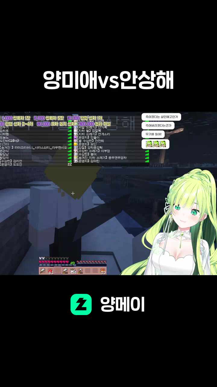 양미애vs안상해