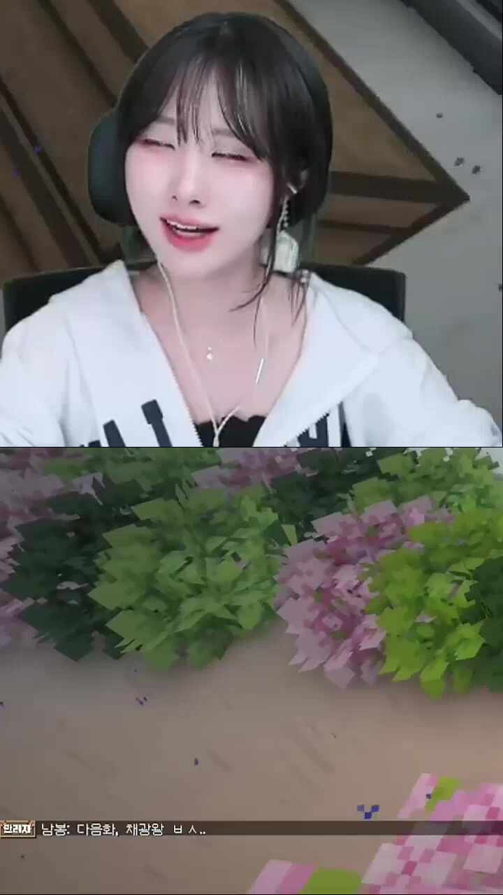 대흉의 경험치뭉치