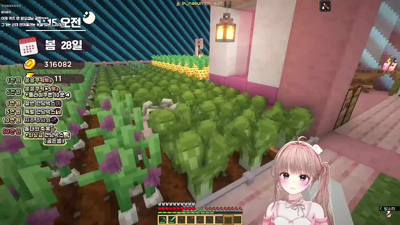 나은님의 사회생활