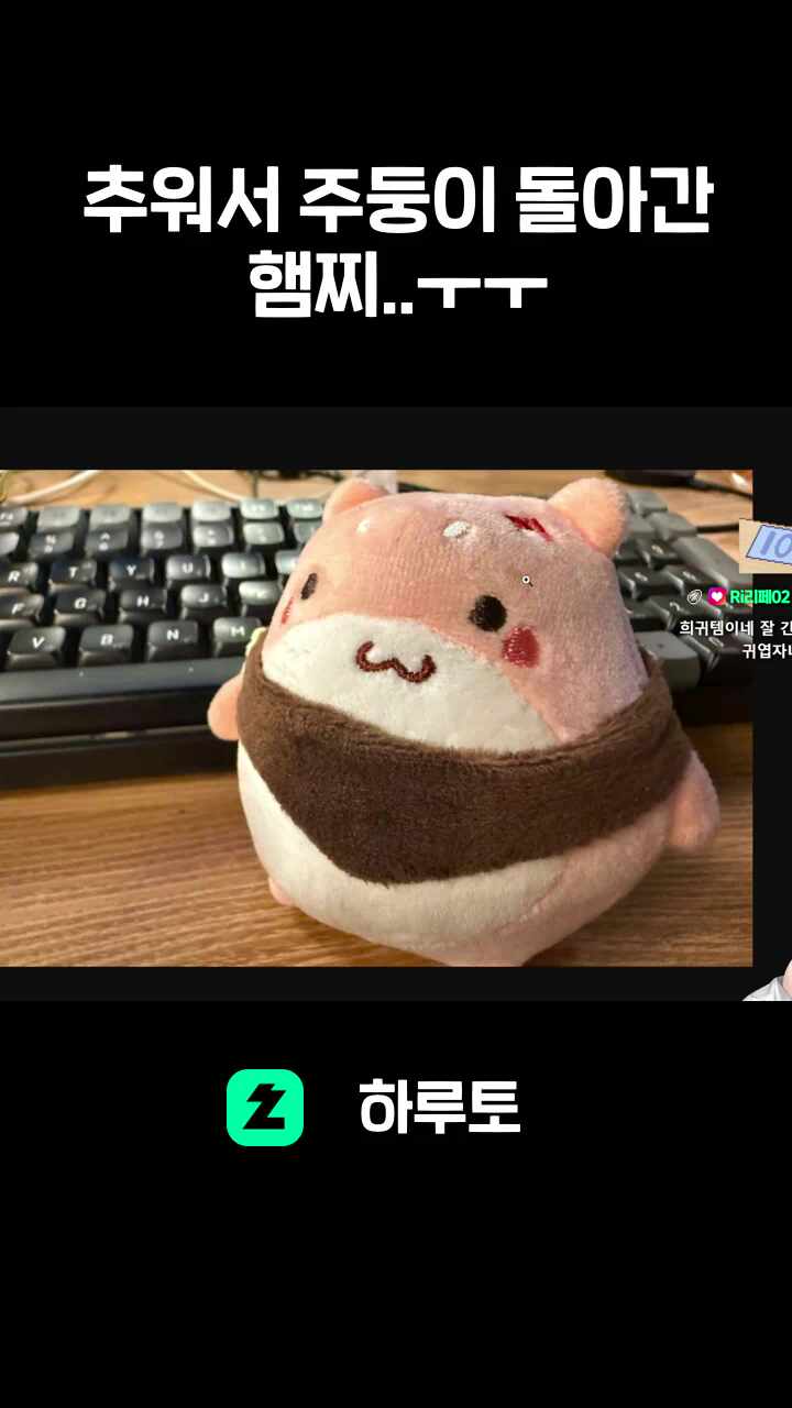 추워서 주둥이 돌아간 햄찌..ㅜㅜ