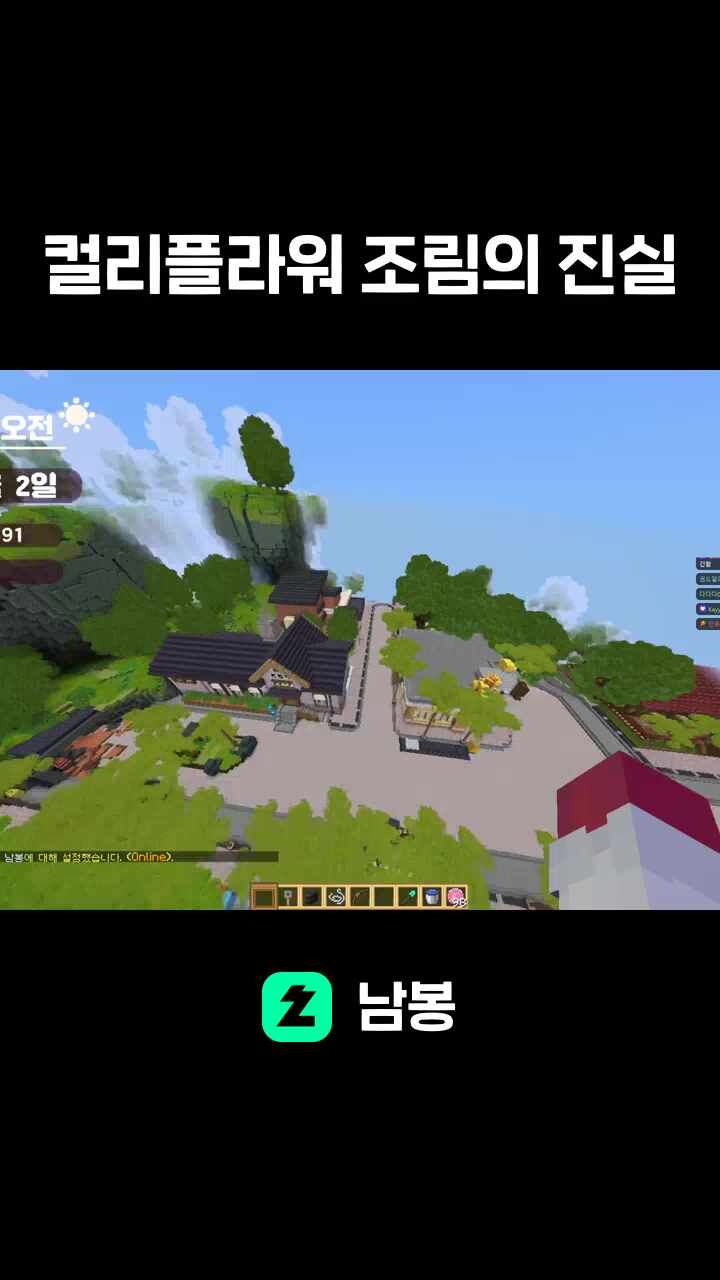 컬리플라워 조림의 진실