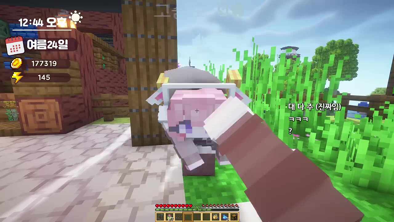 뺙뺙뺙 배운 다주