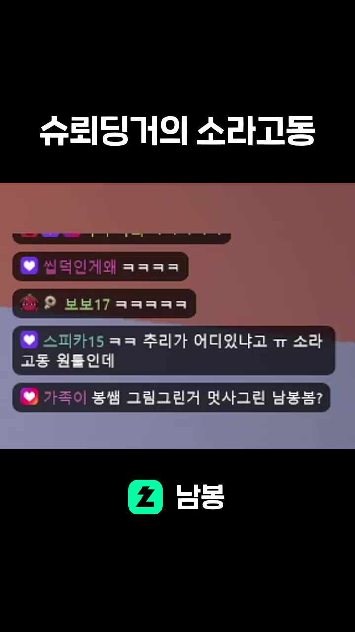 슈뢰딩거의 소라고동