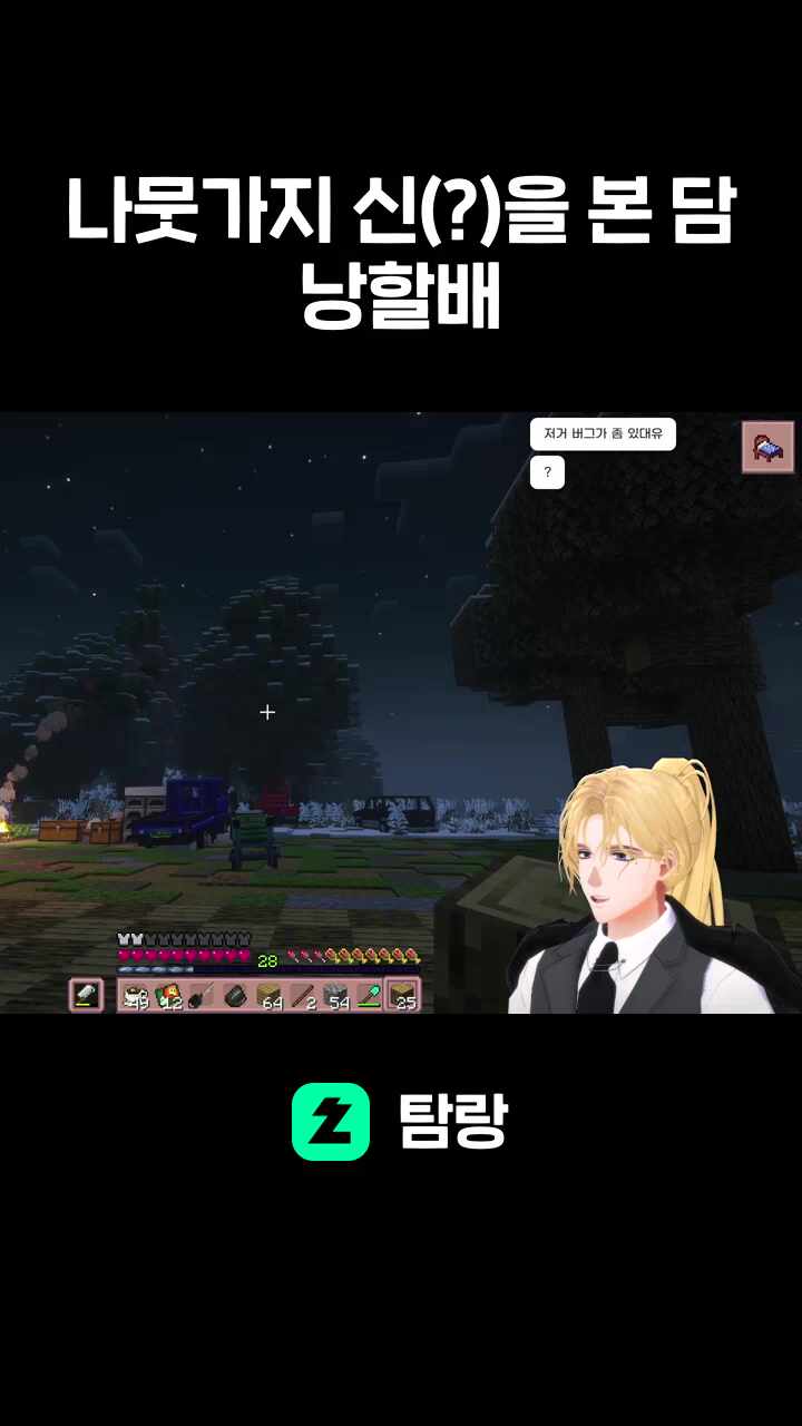 나뭇가지 신(?)을 본 담낭할배