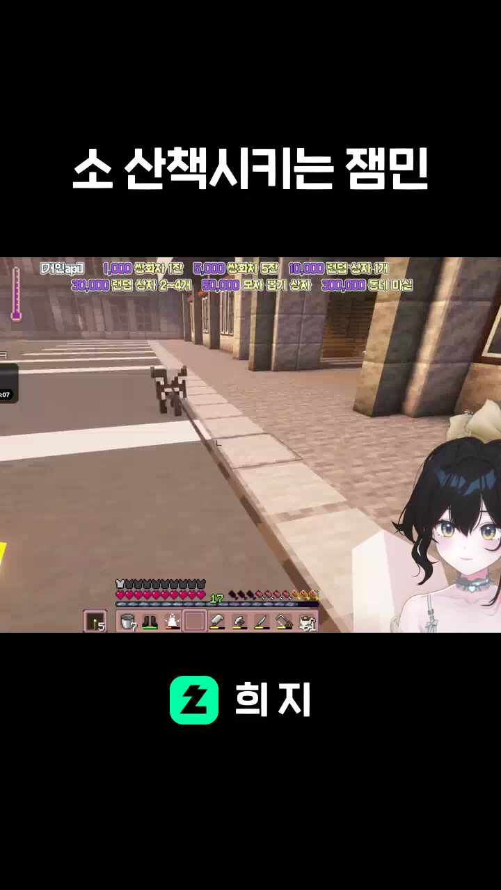 소 산책시키는 잼민