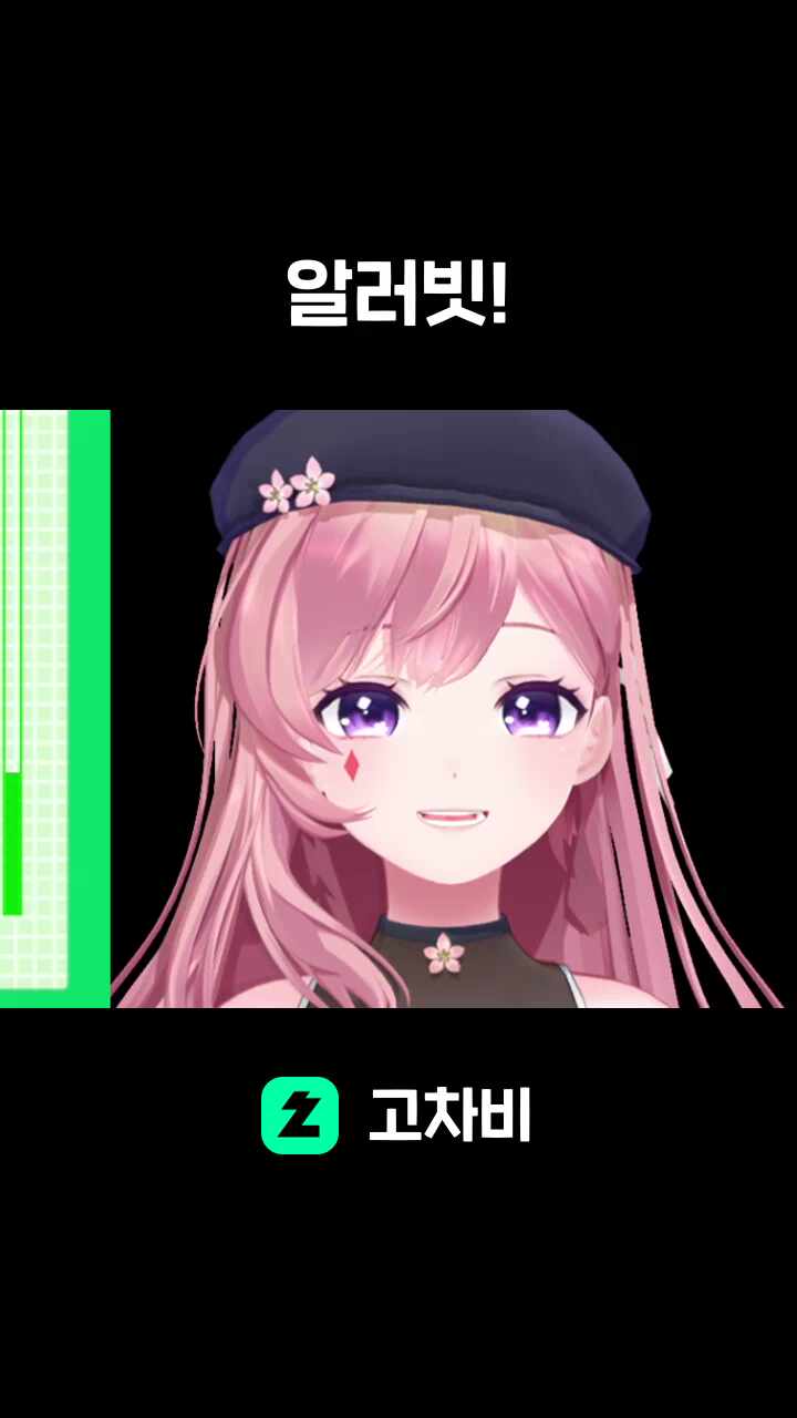 알러빗!