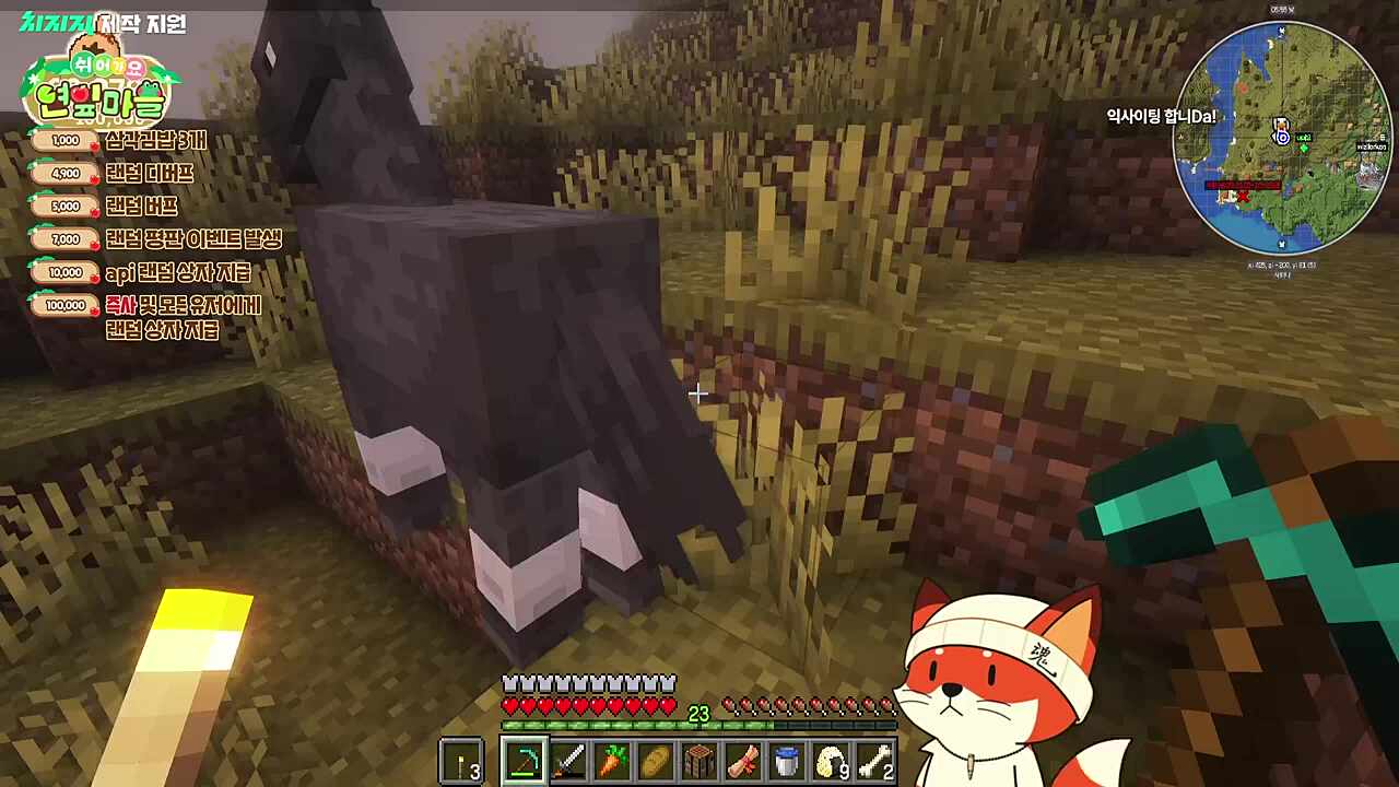 난지는 말똥러버