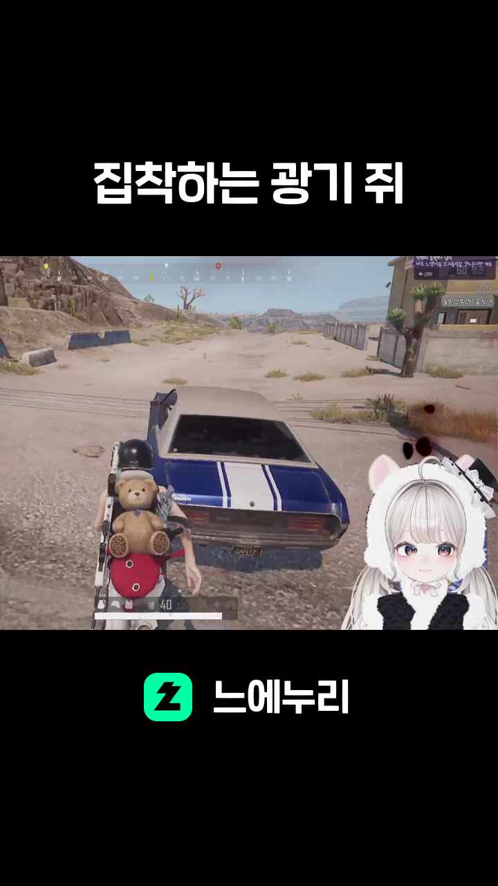 집착하는 광기 쥐