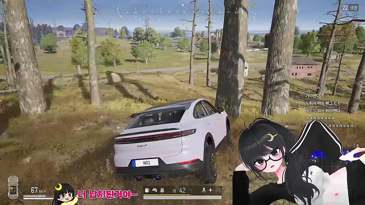 둥이가 둥이했다