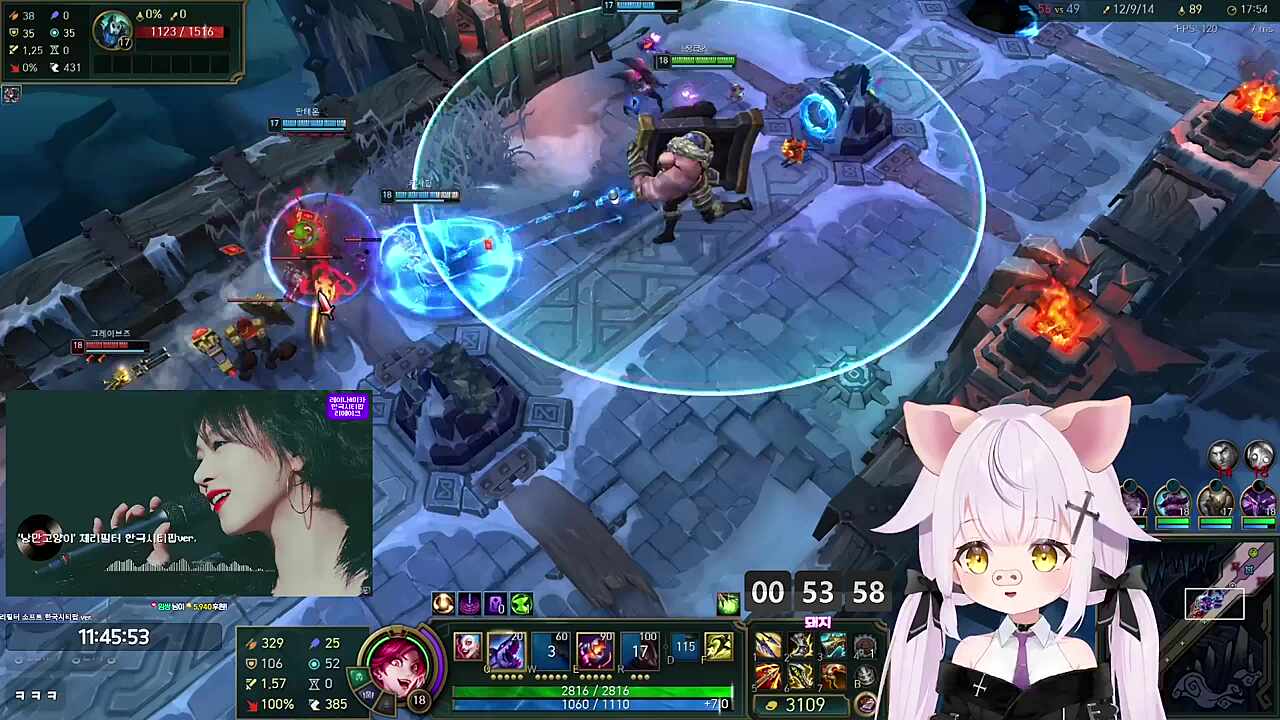 ♬ 돼지 - 낭만고양이 (원곡 체리필터)