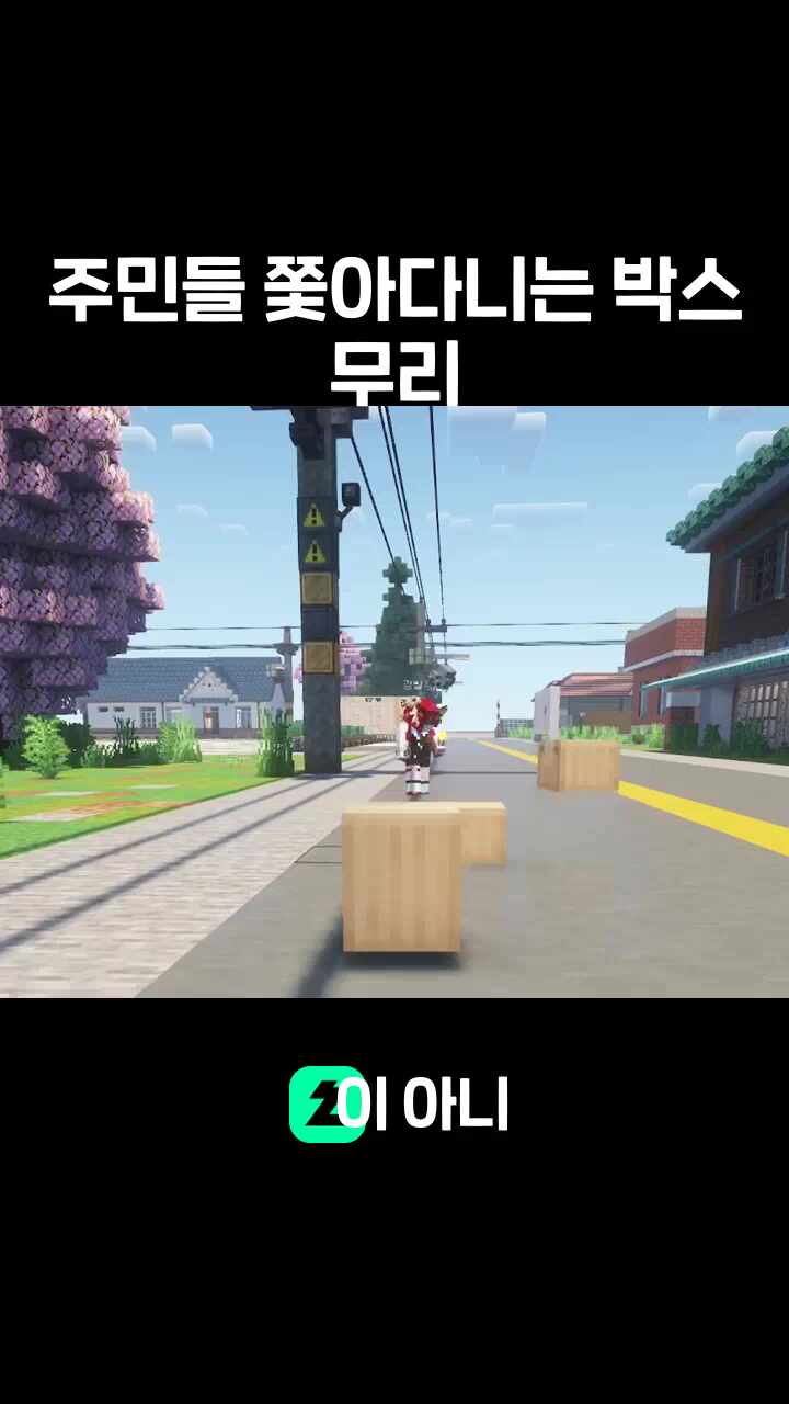 주민들 쫓아다니는 박스 무리