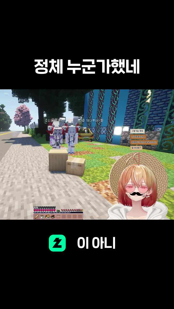 정체 누군가했네