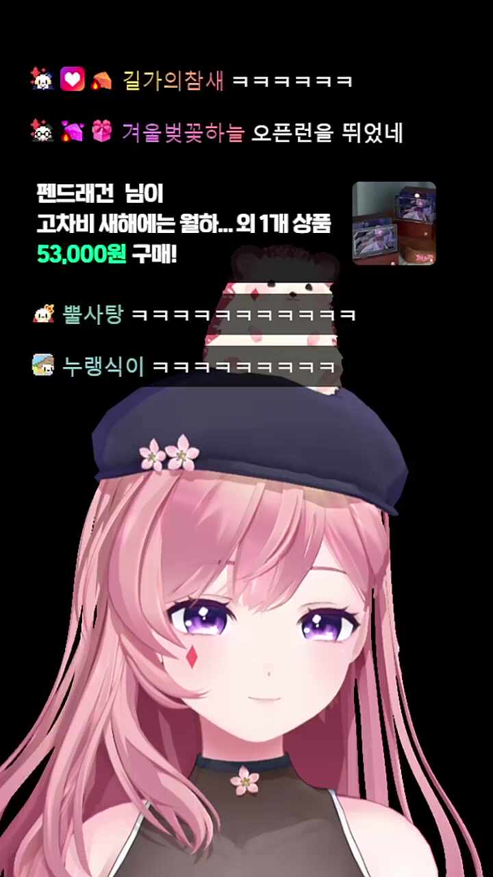 개인용