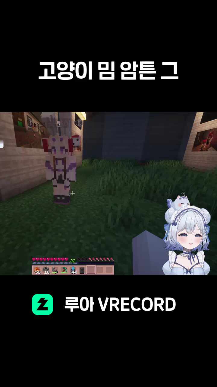 고양이 밈 암튼 그