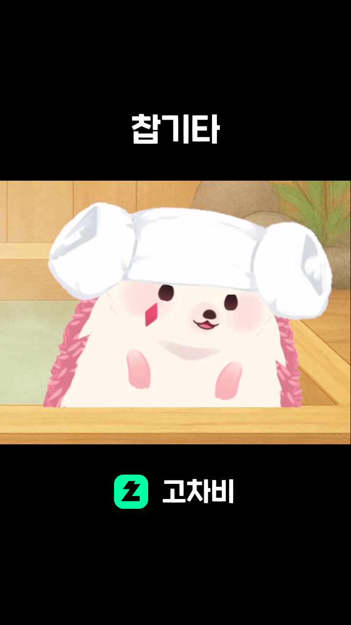 찹기타