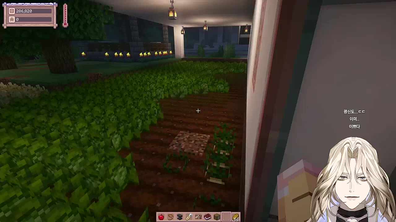 가화분 집에 방문한 안자애