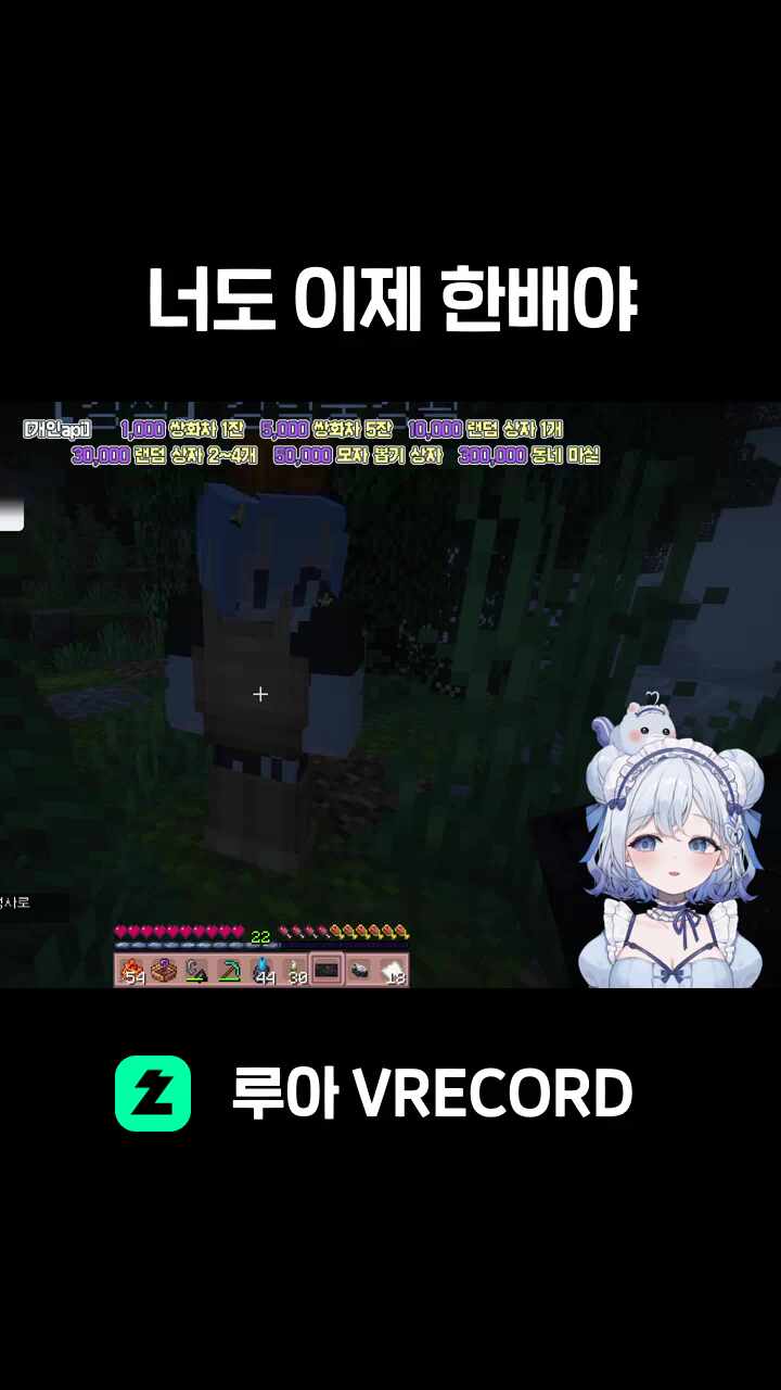 너도 이제 한배야