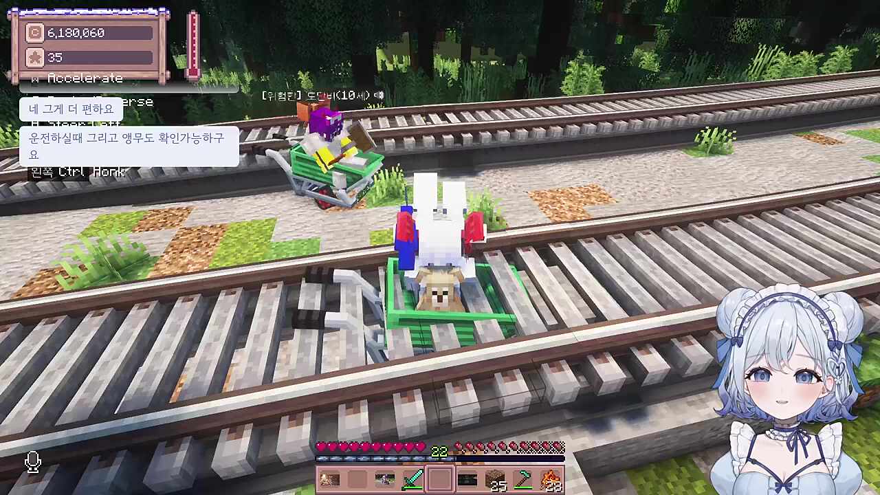 앵무야~이제부터 네 이름은 꽃분이야