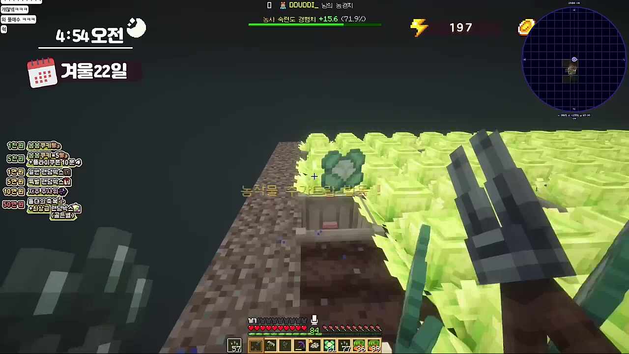 다다다다다다다그냥개처귀여움