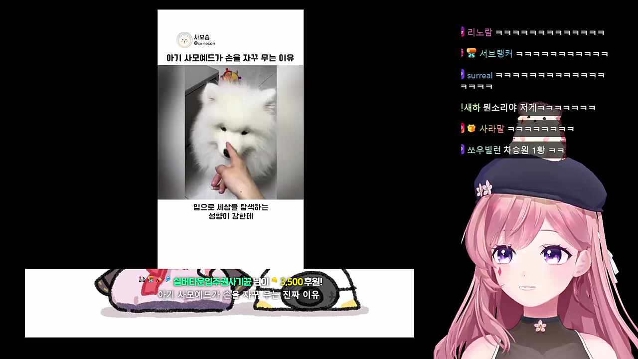 찹 추~  찹찹 추~