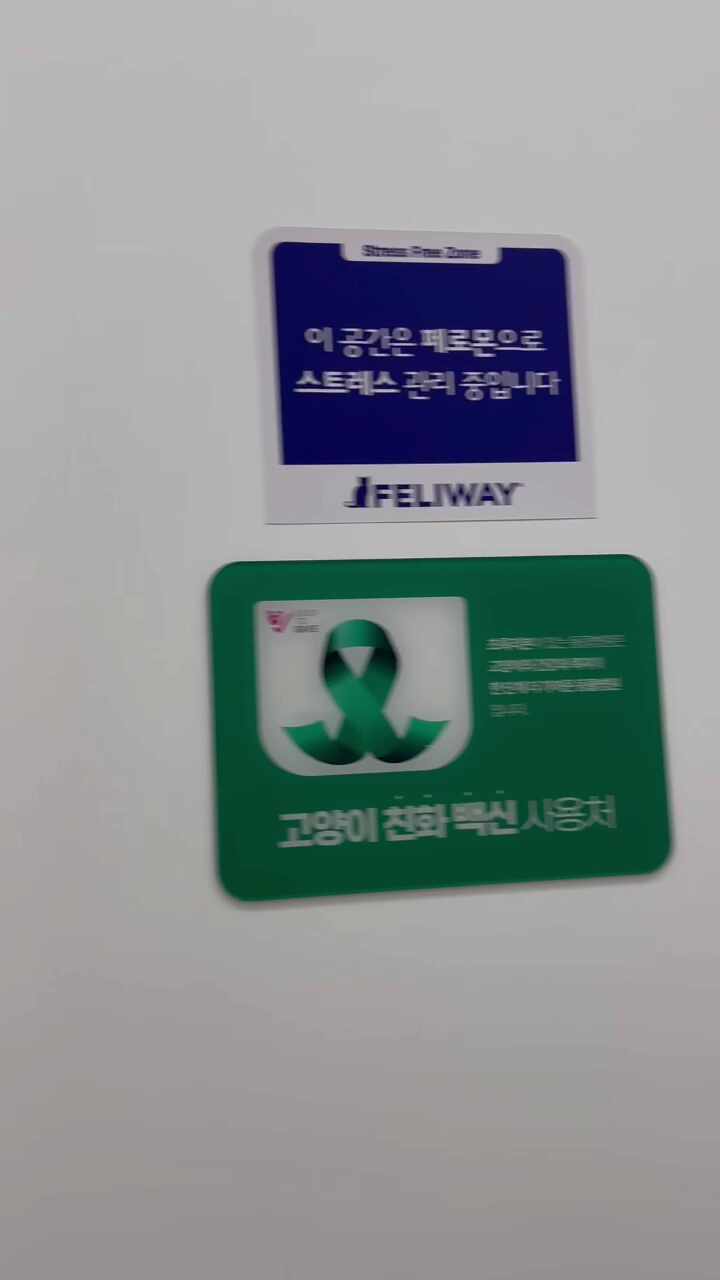 리뷰 사진 1