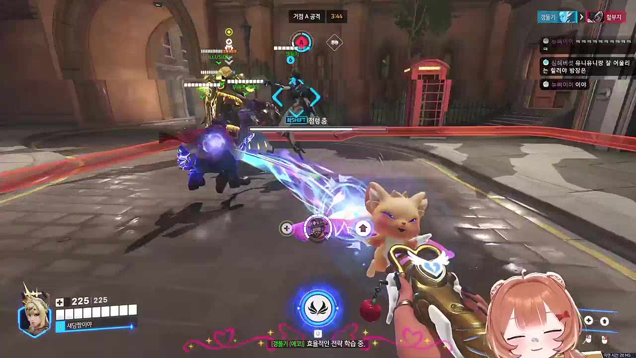 압사당한 갱둘기