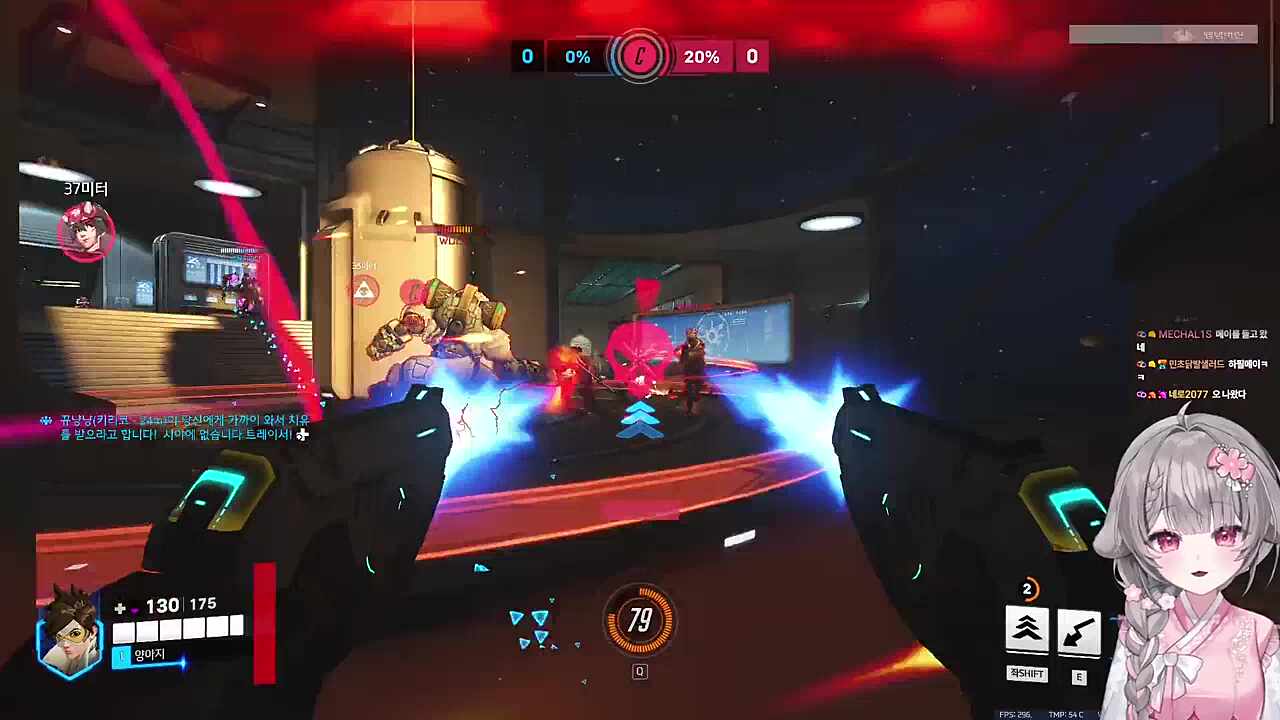 역대급 양아지컵