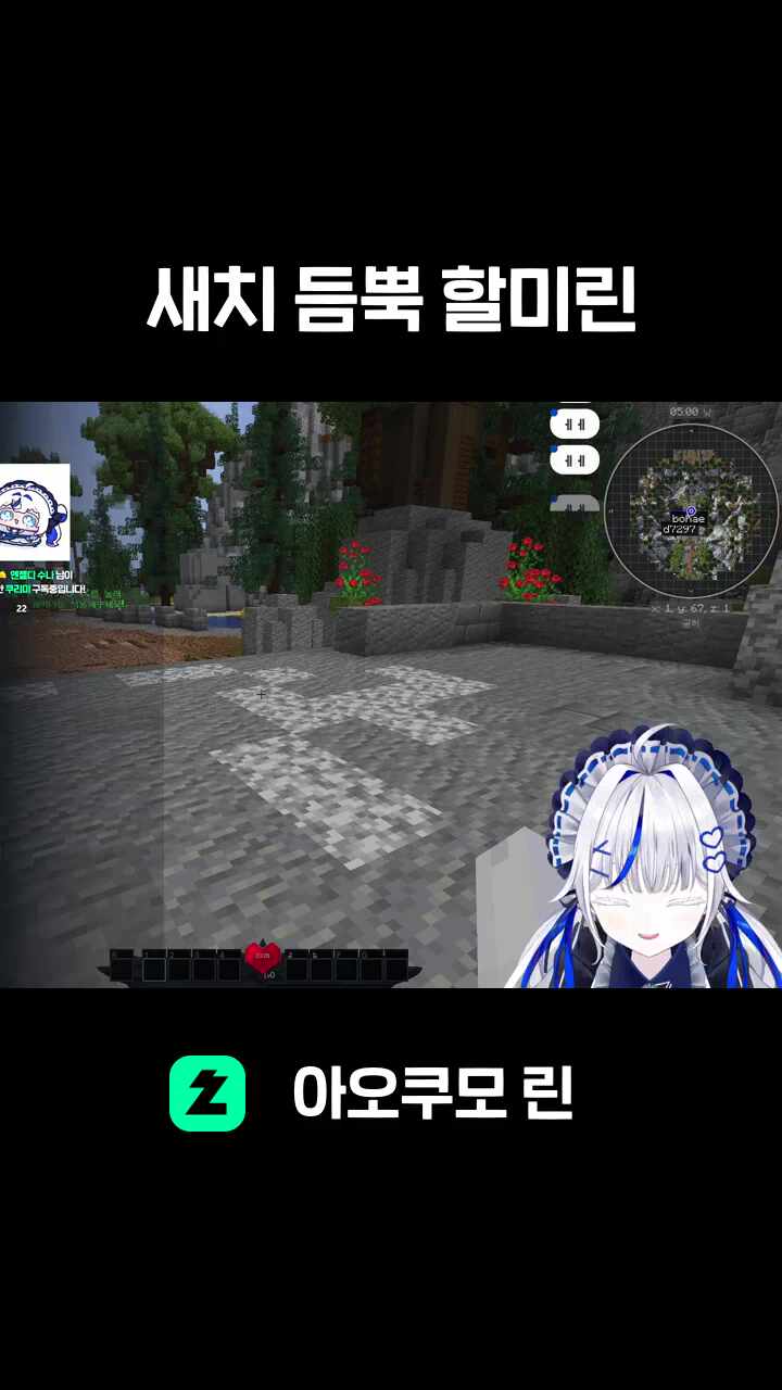 새치 듬뿍 할미린