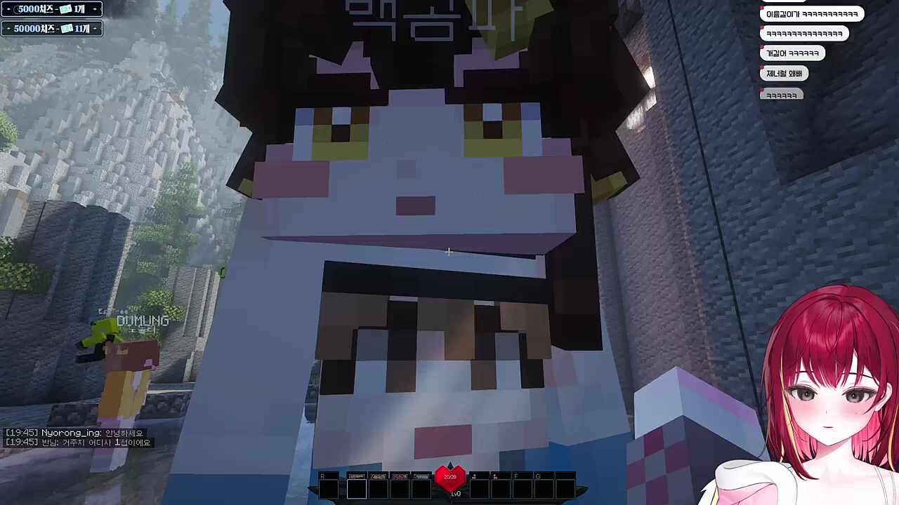 테무 품은 곰파