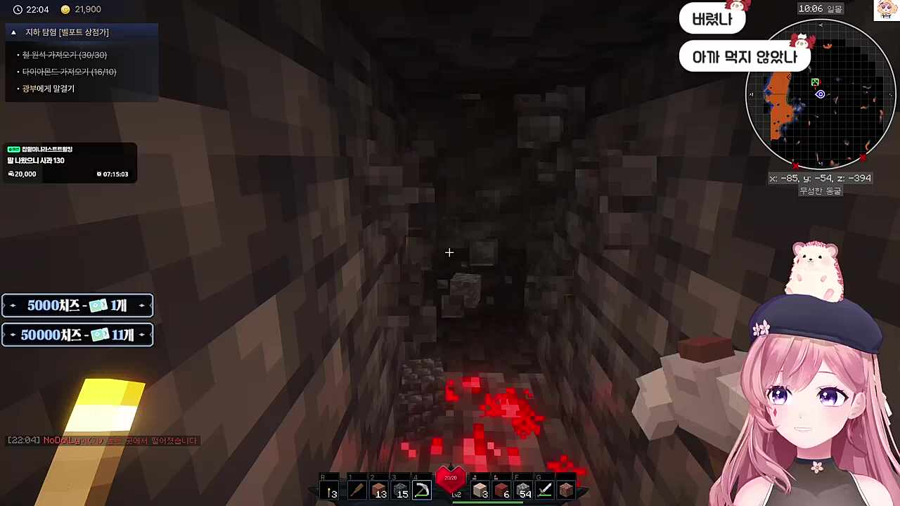 졸리지 않은 차비님