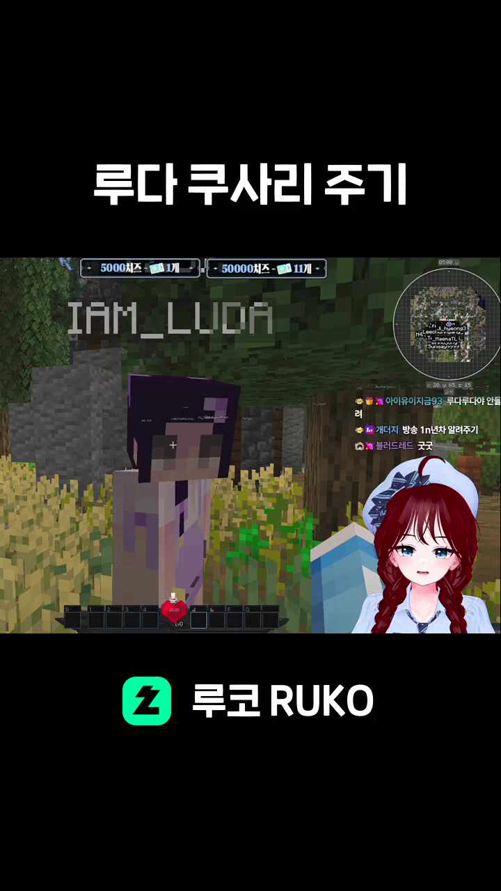 루다 쿠사리 주기