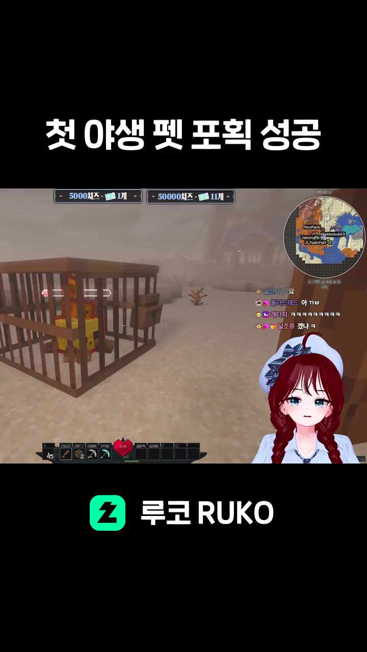 첫 야생 펫 포획 성공