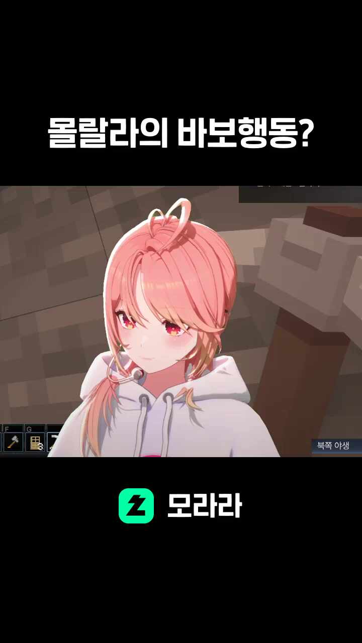 몰랄라의 바보행동?