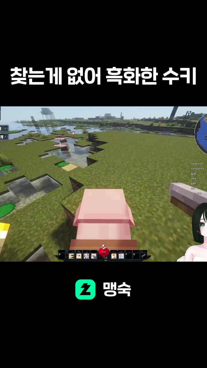 수키의 흐콰version