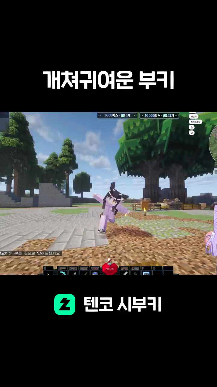 개쳐귀여운 부키