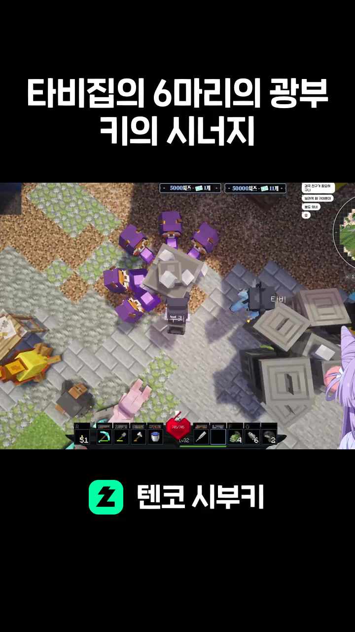 타비집의 6마리의 광부키의 시너지