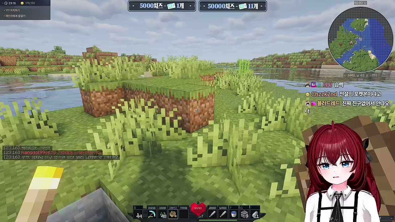 아싸는 펫도 못잡는건가요ㅠ