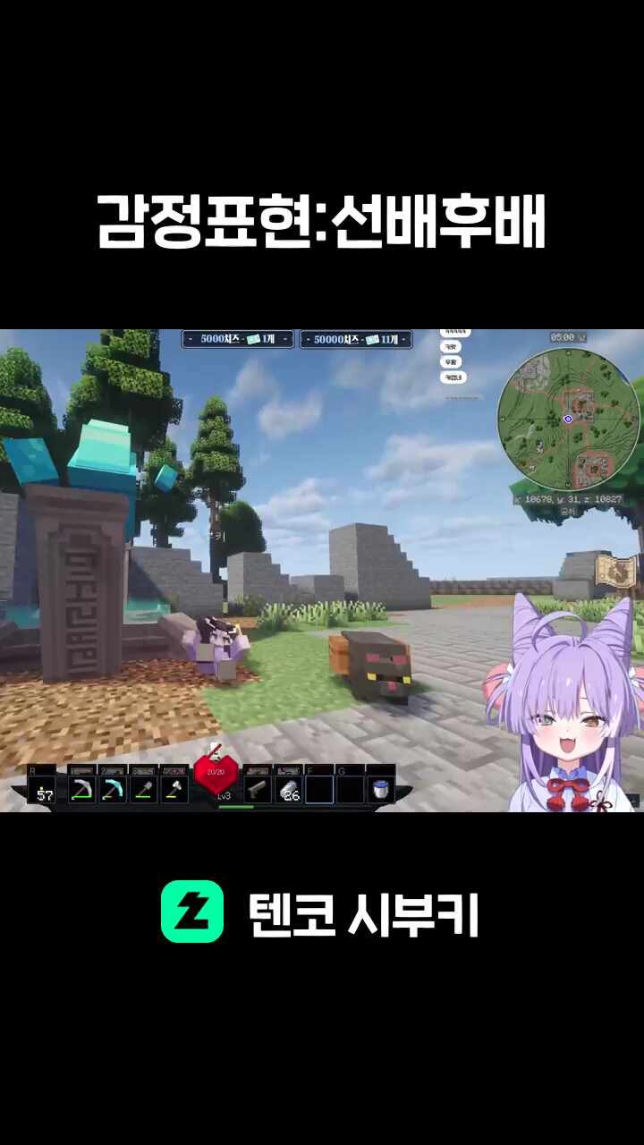 감정표현:선배후배