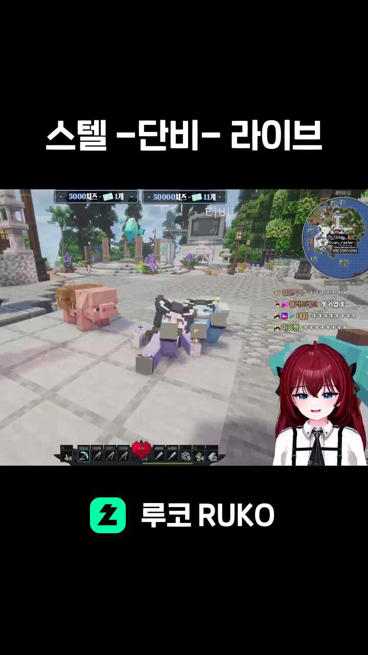 스텔 -단비- 라이브