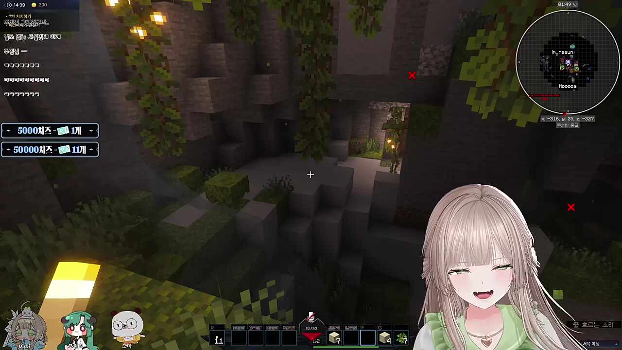 오아와 다비 디코