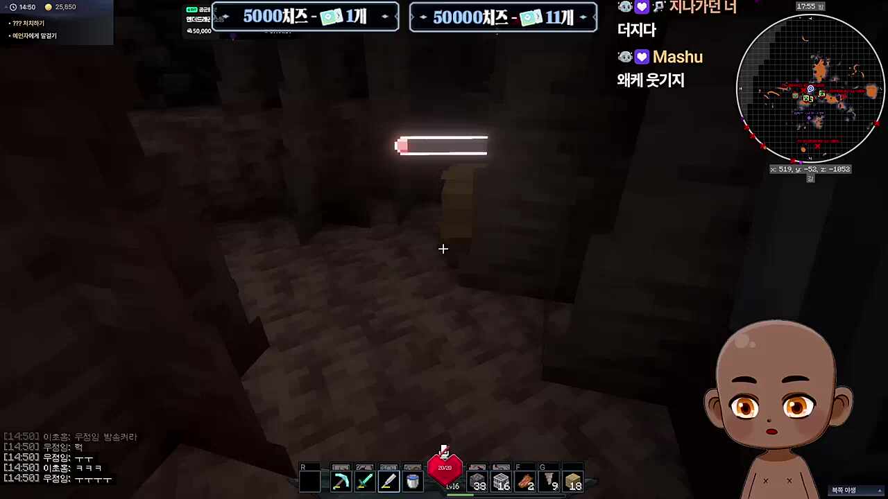 쌍 더지의 꿈은 그렇게 갔습니다.