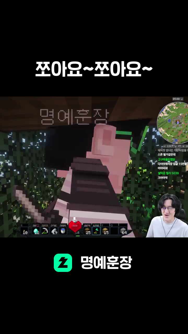 쪼아요~쪼아요~