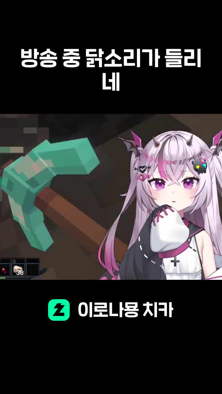 방송 중 닭소리가 들리네