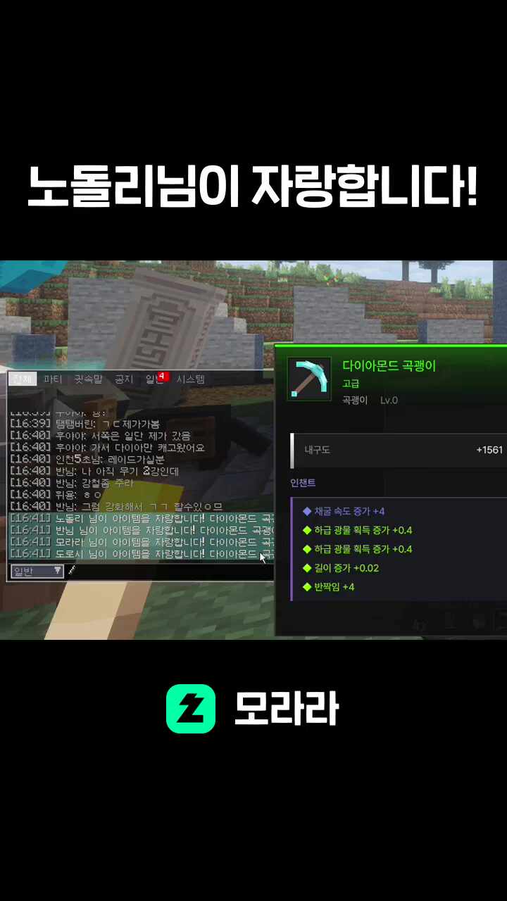 노돌리님이 자랑합니다!