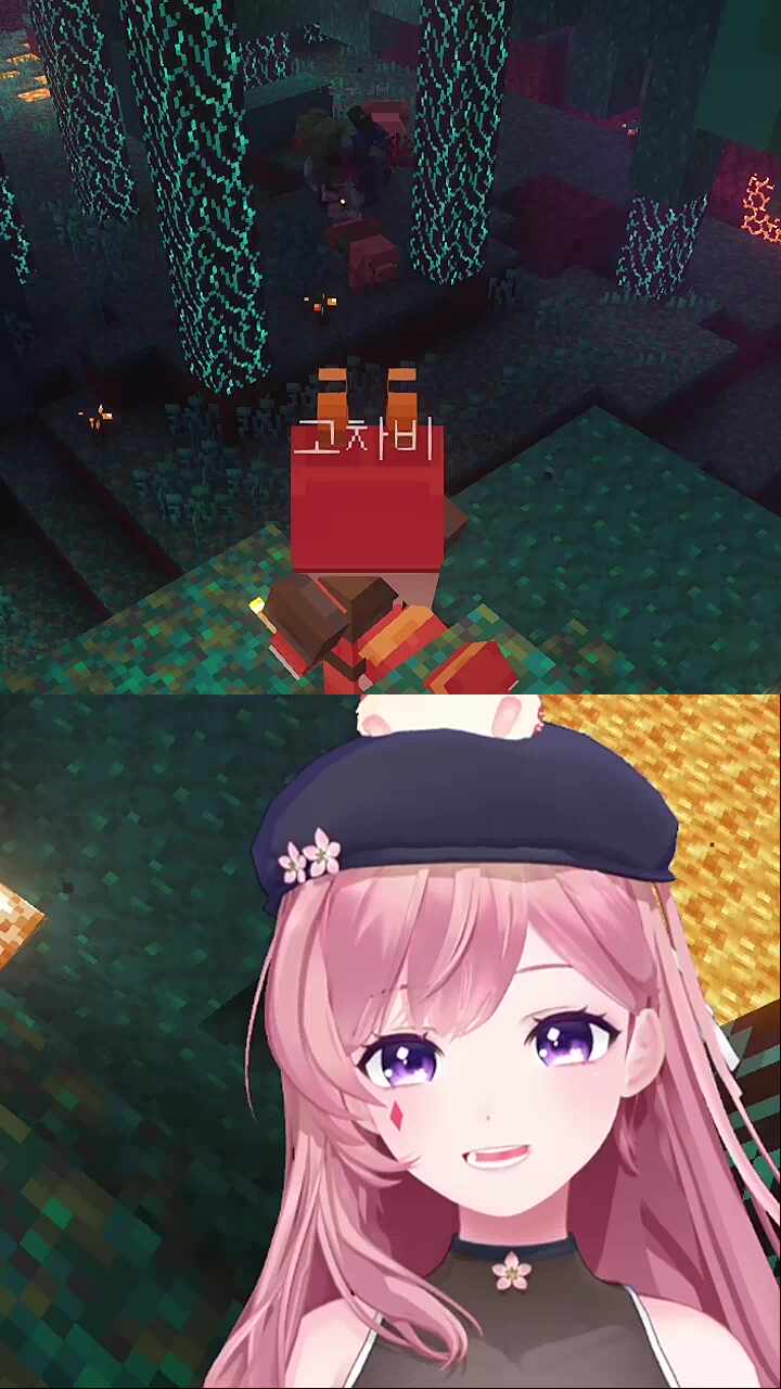 저게 차비님 친구야...