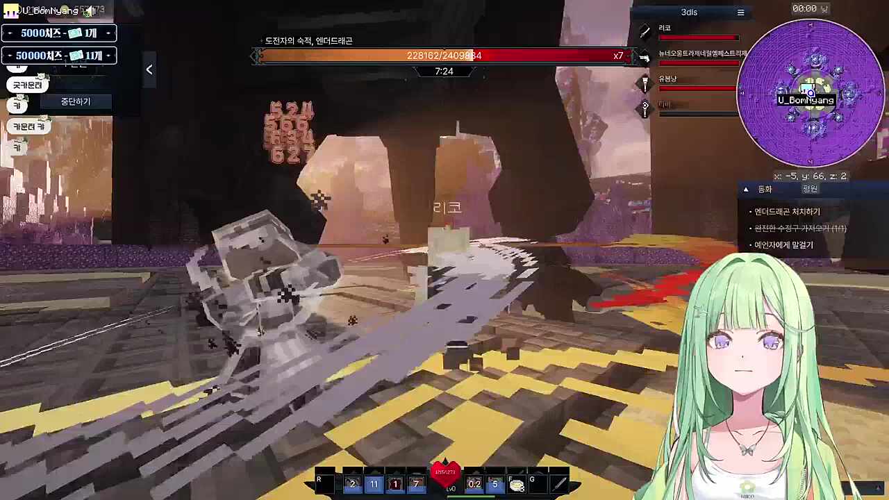 엔더 드래곤 컷!!!