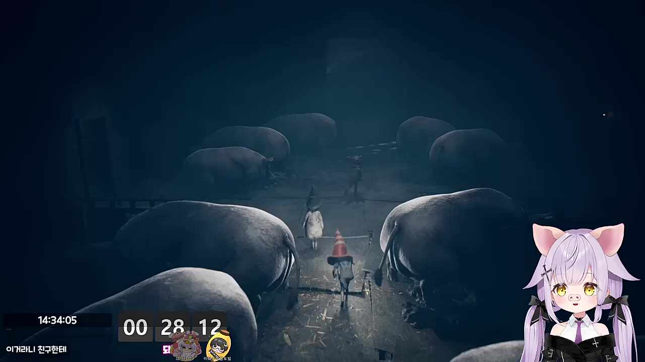 대왕마뇨가 마뇨 먹는다