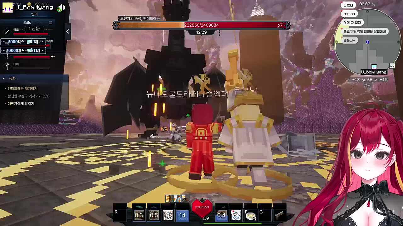 엔더 드래곤 컷!!!